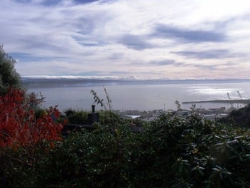 Image 1 of 15
