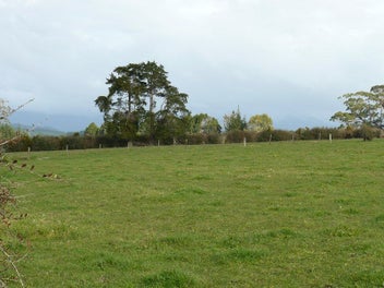 Image 1 of 11