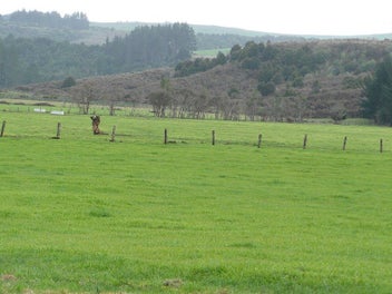 Image 1 of 8