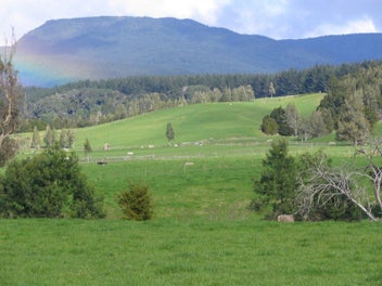 Image 1 of 10