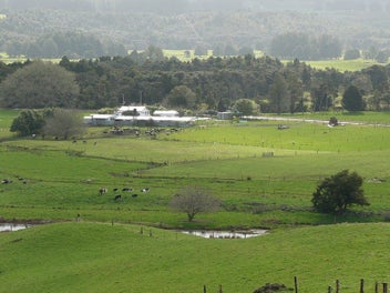 Image 1 of 8