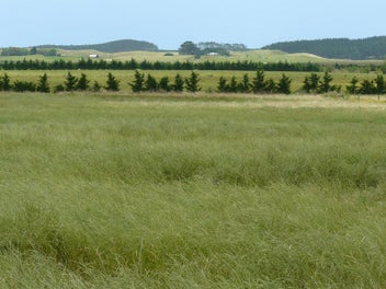 Image 1 of 14