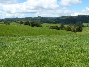Image 1 of 20