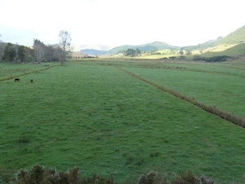 Image 1 of 18