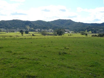 Image 1 of 20