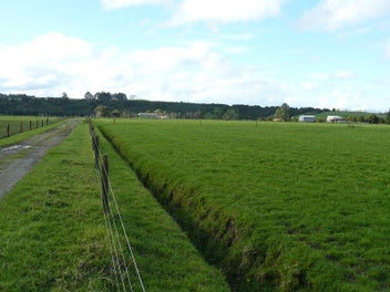Image 1 of 17