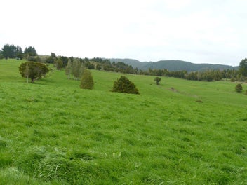 Image 1 of 18
