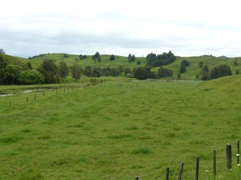 Image 1 of 18
