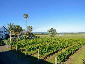 Image 1 of 18