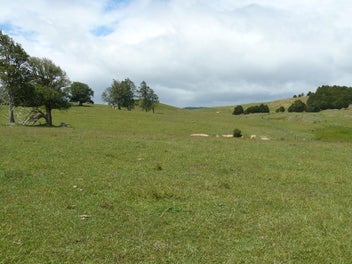 Image 1 of 18