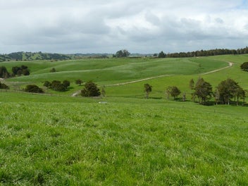 Image 1 of 18