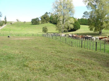 Image 1 of 18