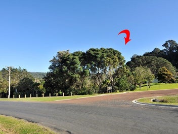 Image 1 of 15