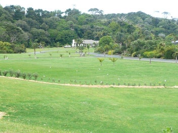 Image 1 of 10