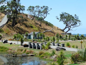 TUTUKAKA COAST CLIFF TOP