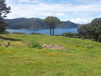 Image 1 of 12