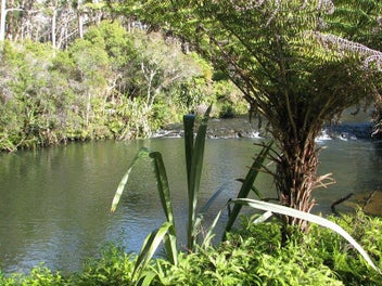Image 1 of 15