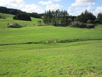 Lot 3  - 672 Te Ahu Ahu Rd    RURAL BLISS