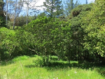 Image 1 of 17