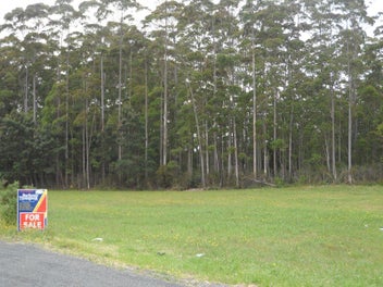 EXCITING 4 ACRE BUSH BLOCK - STREAM - KIWI
