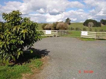 Image 1 of 12