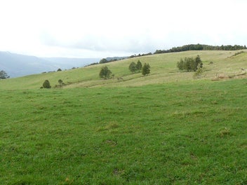 Image 1 of 20