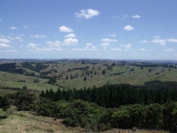 Breath-Taking Kaipara Coast