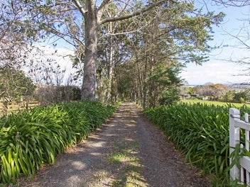 Image 1 of 19
