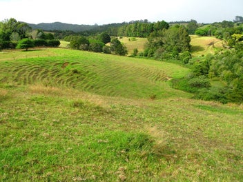 Pastoral Prize Minutes from Kerikeri