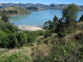 Image 1 of 6
