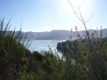Image 1 of 5