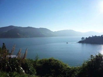 Image 1 of 6