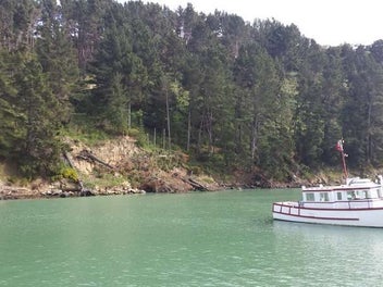 Prime & Rare Genuine Purau Waterfront
