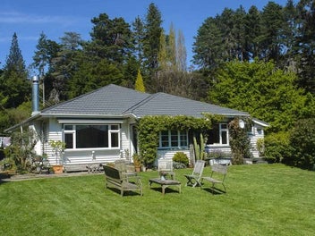 Image 1 of 12