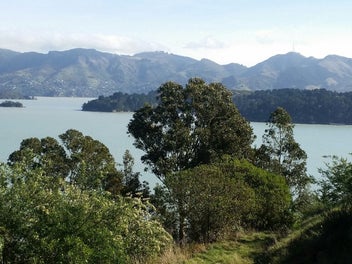 Image 1 of 5