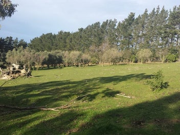 Image 1 of 7