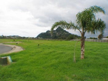 Image 1 of 13