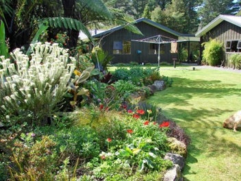 Image 1 of 19
