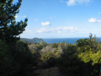 TE KARO BAY AND MAGICAL