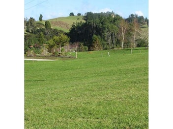 Image 1 of 10