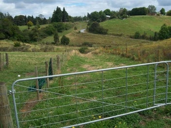 Image 1 of 7