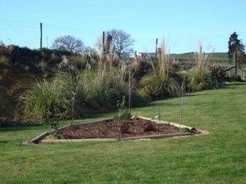 Image 1 of 11