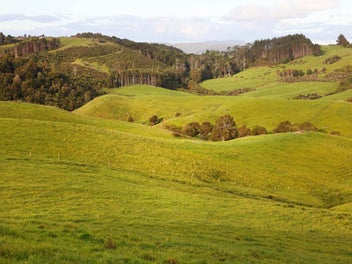 Image 1 of 13