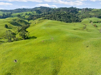 49.9Ha BLANK CANVAS - DESIREABLE LOCATION - HU...