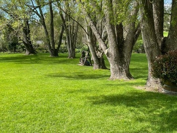 Image 1 of 9