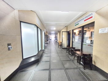 Image 1 of 7