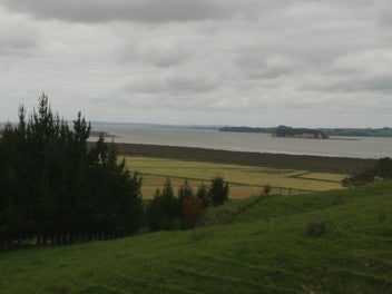 2x 1 Ha blocks $235,000 each