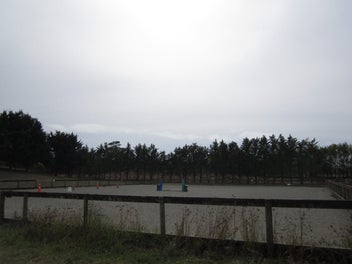 Image 1 of 7