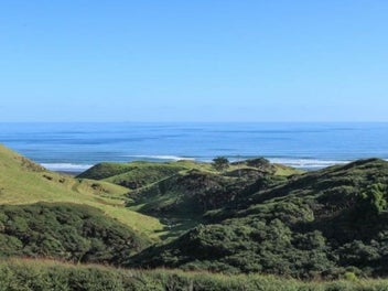 Image 1 of 16