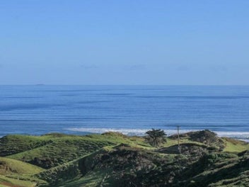 Bush Out to the Ocean